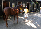 Business Down at F-T Preferred Yearling Sale Business Down at F-T Preferred Yearling Sale