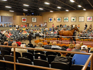 Reviews Positive for Sale Pavilion Upgrades Reviews Positive for Sale Pavilion Upgrades
