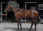 Saratoga Sale Median Solid, But Average Falls Saratoga Sale Median Solid, But Average Falls