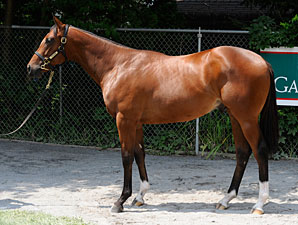 Half Brother to Lookin At Lucky Gets $750,000 Half Brother to Lookin At Lucky Gets $750,000