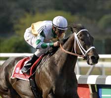 Fabulous Strike Out of Breeders' Cup Sprint Fabulous Strike Out of Breeders' Cup Sprint