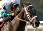 Fabulous Strike Out of Breeders' Cup Sprint Fabulous Strike Out of Breeders' Cup Sprint