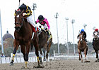 Fair Grounds Offers More Stakes Days, Wagers Fair Grounds Offers More Stakes Days, Wagers