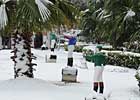Snow Cancels Fair Grounds Racing Dec. 11