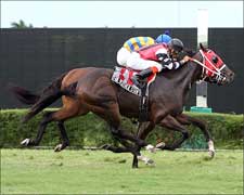 Locals Dominate Dozen Entered in Calder Derby Locals Dominate Dozen Entered in Calder Derby