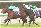 Japan Cup Race Report: Dettori Double Japan Cup Race Report: Dettori Double