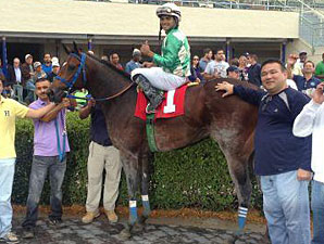 Falling Sky Tops OBS Winter Sale Opener Falling Sky Tops OBS Winter Sale Opener