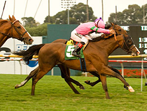 Fantastic Pick Upsets Oak Tree Derby Fantastic Pick Upsets Oak Tree Derby