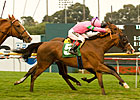 Hollywood Derby, Miesque End Turf Festival Hollywood Derby, Miesque End Turf Festival