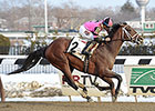 Far From Over, El Kabeir Likely for Gotham Far From Over, El Kabeir Likely for Gotham