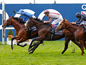 Farhh Wins Champion Stakes Thriller at Ascot