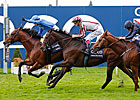 Farhh Wins Champion Stakes Thriller at Ascot Farhh Wins Champion Stakes Thriller at Ascot