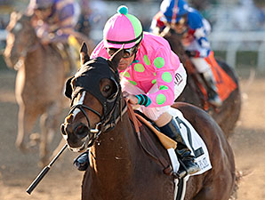 Fashion Plate Wire-to-Wire in Las Virgenes Fashion Plate Wire-to-Wire in Las Virgenes