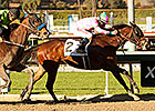 Will They Catch Fashion Plate in SA Oaks? Will They Catch Fashion Plate in SA Oaks?