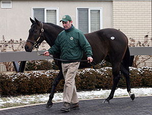 F-T Winter Mixed Sale's Gross, Average Rise F-T Winter Mixed Sale's Gross, Average Rise