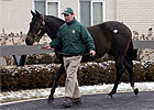 F-T Winter Mixed Sale's Gross, Average Rise F-T Winter Mixed Sale's Gross, Average Rise