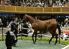 Fasig-Tipton Saratoga Sale Day 2 Wrap Fasig-Tipton Saratoga Sale Day 2 Wrap