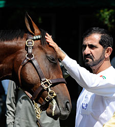 Saratoga Sizzlers Two: Horses to Watch Saratoga Sizzlers Two: Horses to Watch