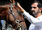 Saratoga Diary:  As the World Turns