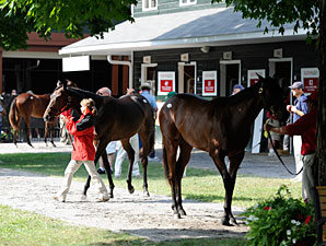 Saratoga Sizzlers One: Horses to Watch Saratoga Sizzlers One: Horses to Watch