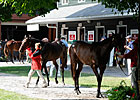 Saratoga Sizzlers One: Horses to Watch