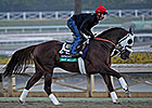 Fast Bullet Euthanized Due to Colic Fast Bullet Euthanized Due to Colic