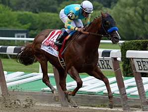 Fast Bullet Retired, to Stand at Pauls Mill Fast Bullet Retired, to Stand at Pauls Mill