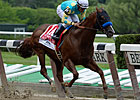 Fast Bullet Retired, to Stand at Pauls Mill Fast Bullet Retired, to Stand at Pauls Mill