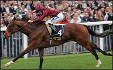 Group III Winner Sold to Darley Group III Winner Sold to Darley