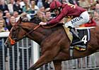 Group III Winner Sold to Darley