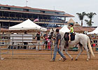 Del Mar Introduces 'Time to Ride' Program Del Mar Introduces 'Time to Ride' Program