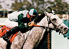 Grade I Winning Sire Fastness Dies at 23 Grade I Winning Sire Fastness Dies at 23