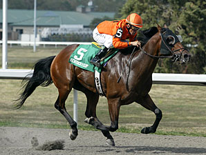A Speeding 'Bullet' Wins KY Cup Sprint A Speeding 'Bullet' Wins KY Cup Sprint