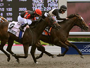 Fearless Cowboy Rustles Up Colin Stakes Win Fearless Cowboy Rustles Up Colin Stakes Win