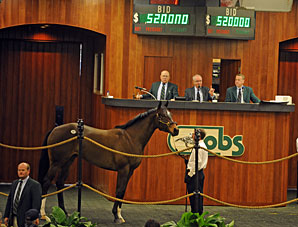OBS Sale Posts Record Average OBS Sale Posts Record Average