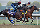 Fed Biz Shows Speed in Breeders' Cup Workout Fed Biz Shows Speed in Breeders' Cup Workout