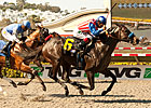 Fed Biz Blazes to Track Record in Pat O'Brien Fed Biz Blazes to Track Record in Pat O'Brien