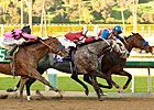 Fed Biz, Tritap Clash Again in Strub Stakes Fed Biz, Tritap Clash Again in Strub Stakes