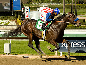 Baffert Pair Works for San Felipe Baffert Pair Works for San Felipe