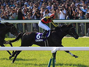 Fenomeno Shows Staying Power in Tenno Sho Fenomeno Shows Staying Power in Tenno Sho