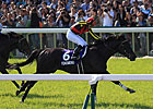 Fenomeno Shows Staying Power in Tenno Sho Fenomeno Shows Staying Power in Tenno Sho