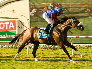Interest in BC Mile Contender Ferneley Sold Interest in BC Mile Contender Ferneley Sold