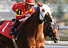 Plenty of Options in 12-Horse Nearctic Stakes Plenty of Options in 12-Horse Nearctic Stakes