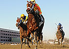 Fierce Boots Stamps Busanda Stakes Upset Fierce Boots Stamps Busanda Stakes Upset