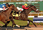 Ky. Derby Trail: Fierce Wind Blows Ky. Derby Trail: Fierce Wind Blows
