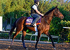 F&M Turf Euros Get First Look at Santa Anita F&M Turf Euros Get First Look at Santa Anita