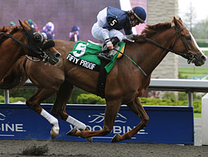 Fifty Proof to Make Comeback in Sir Barton Fifty Proof to Make Comeback in Sir Barton
