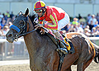 Fiftyshadesofhay Back On Track in Ruffian Fiftyshadesofhay Back On Track in Ruffian