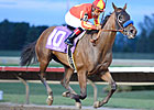Favored Fiftyshadesofhay Cruises in Iowa Oaks Favored Fiftyshadesofhay Cruises in Iowa Oaks