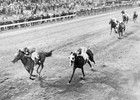Slideshow: Filly Triple Crown Winners Slideshow: Filly Triple Crown Winners